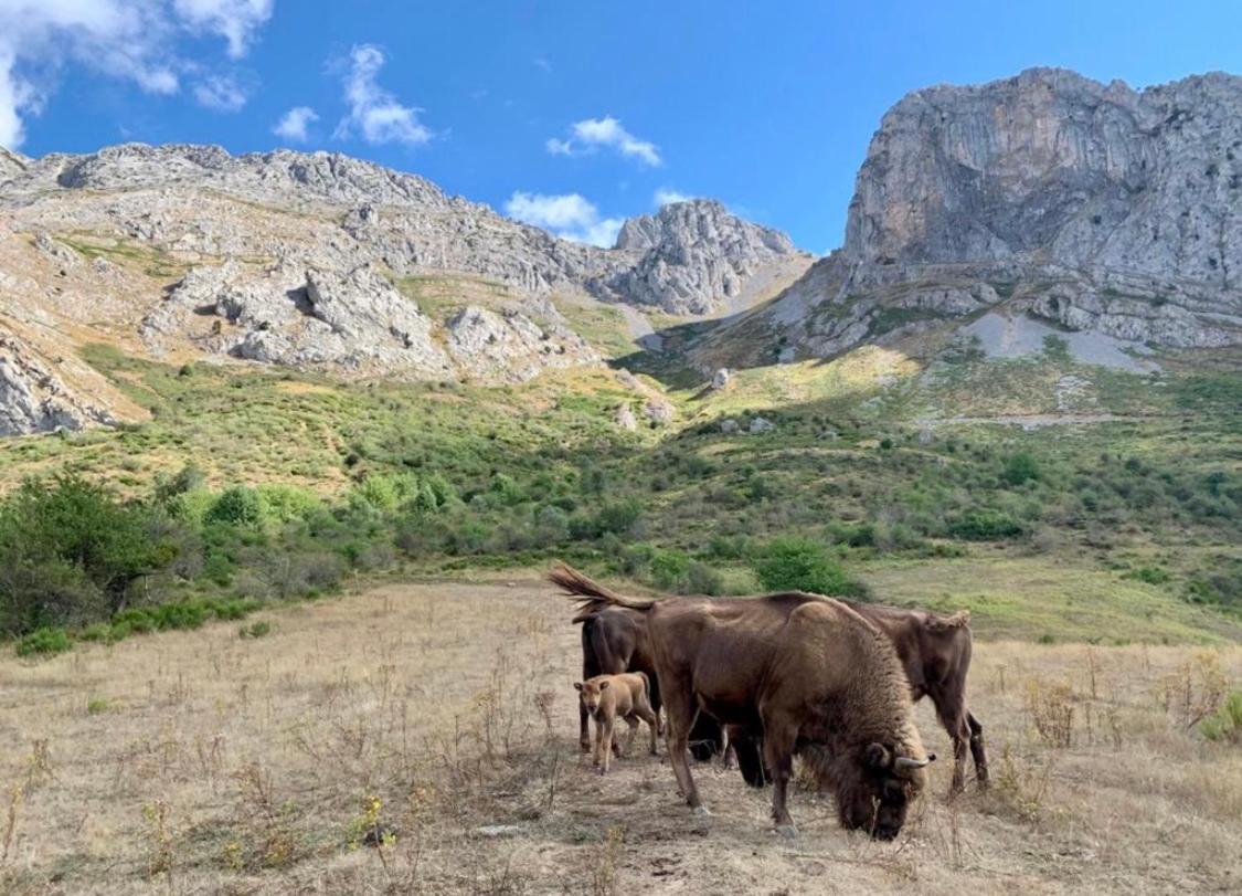Los Toriles Los Espejos de la Reina Buitenkant foto